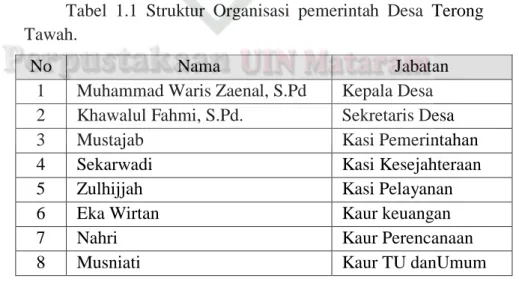 Tabel  1.1  Struktur  Organisasi  pemerintah  Desa  Terong  Tawah.  
