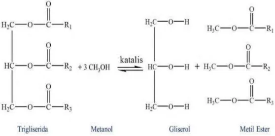 Gambar 1. Reaksi transesterifikasi (Rustamaji, 2010) 