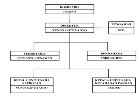 Gambar 3.1 : Struktur Organisasi BUMDes Catur Jaya, Desa Sri Wedari. 