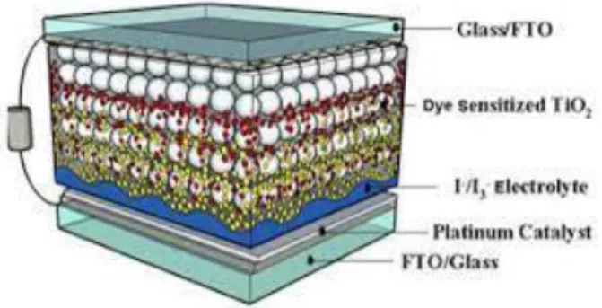 Gambar 8. Komponen Dye Sensitized Solar Cell (DSSC) (Hariyanto et al., 2020) 