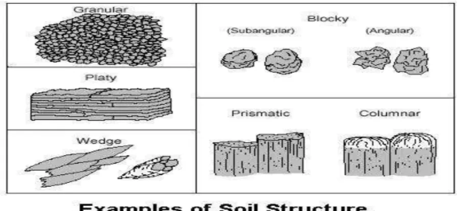 Gambar 2. Struktur tanah menurut USDA (Soil Science Division Staff, 2017) 