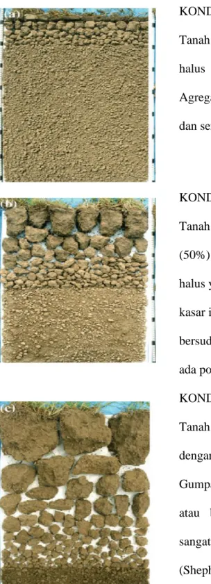 Gambar 5. Hasil penilaian visual untuk struktur tanah (Sheperd dkk,2008) 