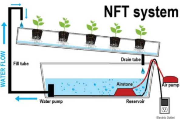 Gambar 3. Model Nutrient Film Technique (Sumber: https://hidroponiq.com             /2014/07/sistem-nft-nutrient-film-technique/) 