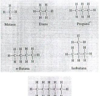 Gambar 2.2 Struktur Alkana  