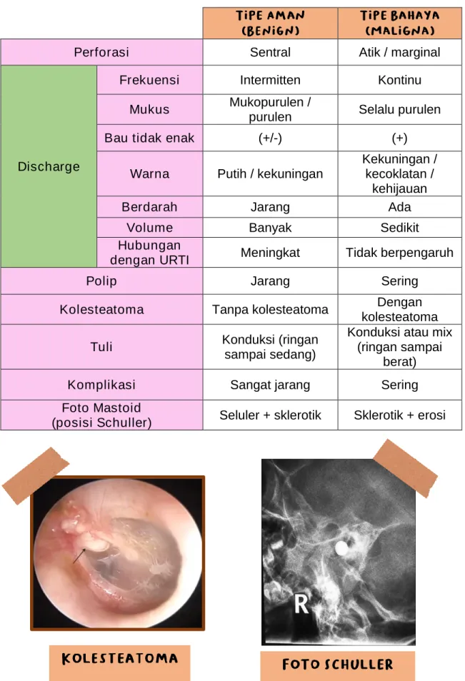Foto Mastoid 