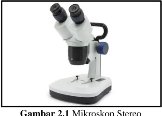 Gambar 2.1 Mikroskop Stereo 