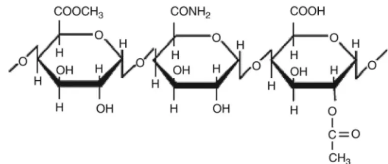 FIGURE 14.2  Representation of different substituents potentially present in commercial  pectins (respectively, methyl-ester, amide group, and acetyl group).