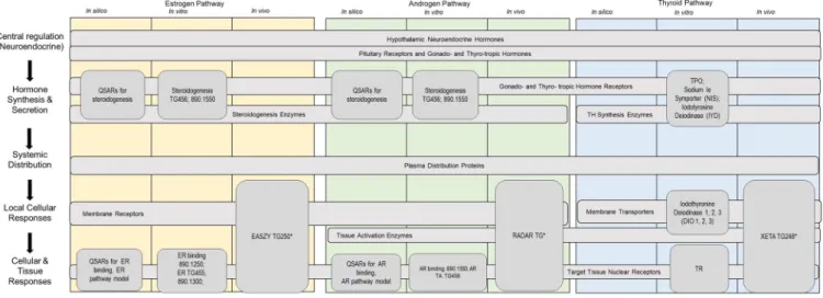 FIGURE 4: Generalized nodes with potential molecular initiating event targets across the estrogen, androgen, and thyroid pathway axes and cross ‐ referenced with available new approach methodologies by type for measuring molecular endpoints