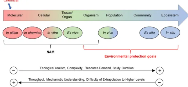 FIGURE 1: Current overview: levels of biological organization and tools in support of chemical ecological assessment