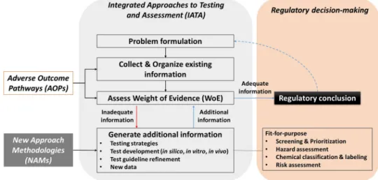 FIGURE 2: An illustration of how new approach methodologies can be integrated to support integrated approaches to testing and assessments.