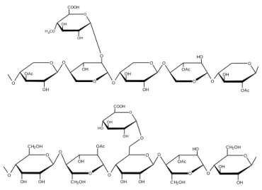 Gambar 2. Struktur hemiselulosa (Tezara et al., 2016) 