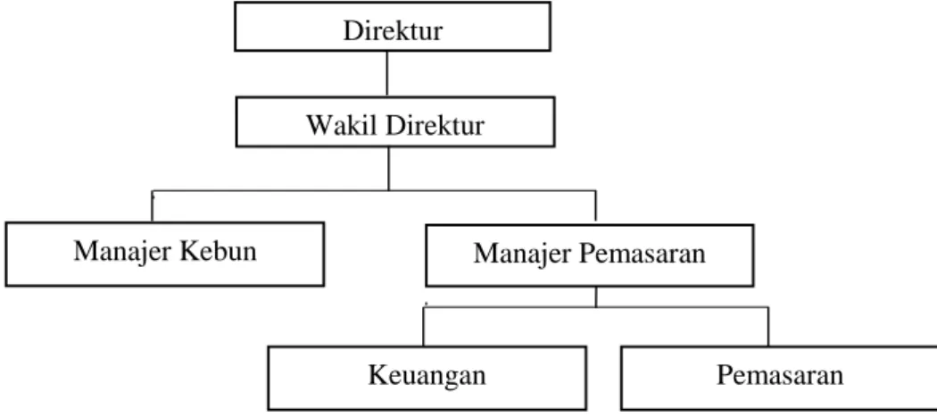 Gambar 2.  Struktur organisasi CV Berkah Jaya. 