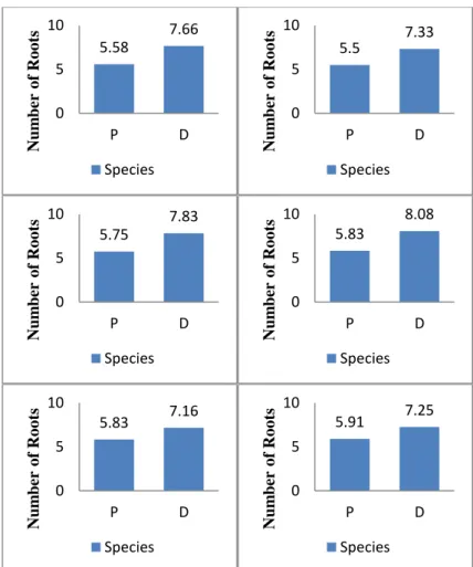 Figure 8. Comparative diagram of the number of treatment roots of Phalaenopsis amabilis and  Dendrobium discolor orchids