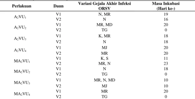 Tabel 2. Variasi Gejala Infeksi ORSV pada Dendrobium discolor 