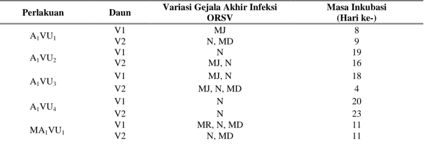 Tabel 1. Variasi Gejala ORSV pada Phalaenopsis amabilis 