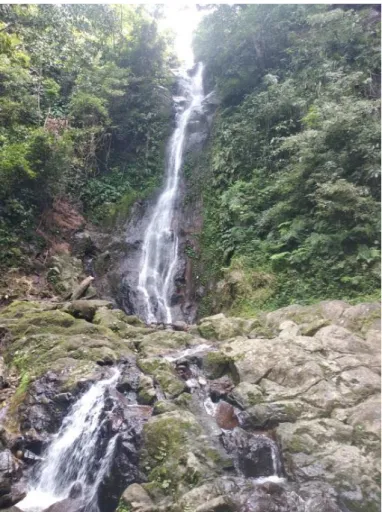 Gambar 2. Air Terjun Wiyono. 