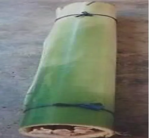 Gambar 7.  Pengepakan  kayu  entres  dengan  gedebok  pisang/pelepah pisang untuk pengiriman kurang  6 jam 