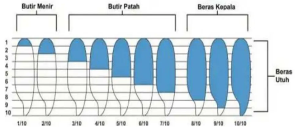 Gambar 2. Pemutuan Beras 