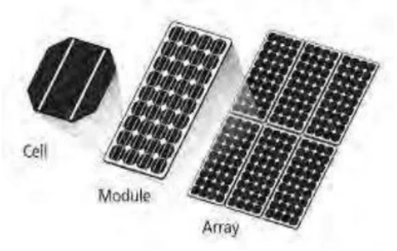 Gambar 2.4 Perbedaan cell, module danarray .  Sumber ( ETAP 2016). 