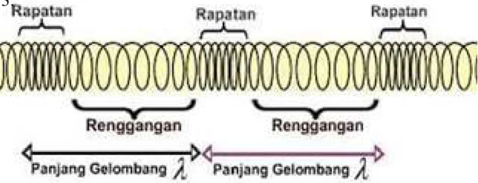 Gambar 2.3 Gelombang Longitudinal  (sumber: mayaerna.blogspot.com) 