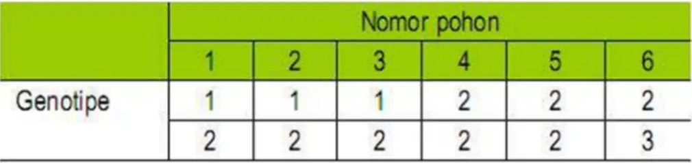 Tabel 3. Contoh Data genotipe yang diturunkan dari Tabel 1. 
