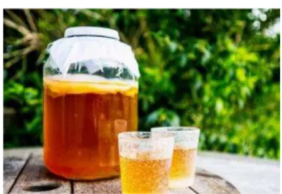 Gambar 2.4. Teh Kombucha 