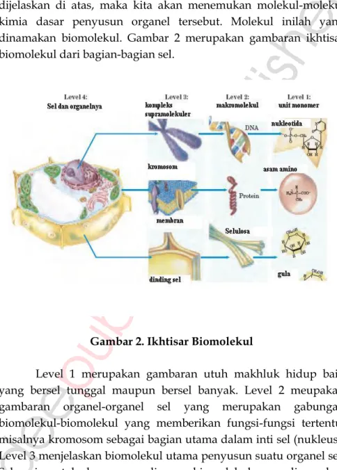 Gambar 2. Ikhtisar Biomolekul 