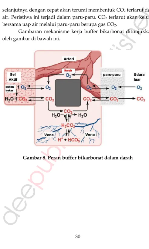 Gambar 8. Peran buffer bikarbonat dalam darah 