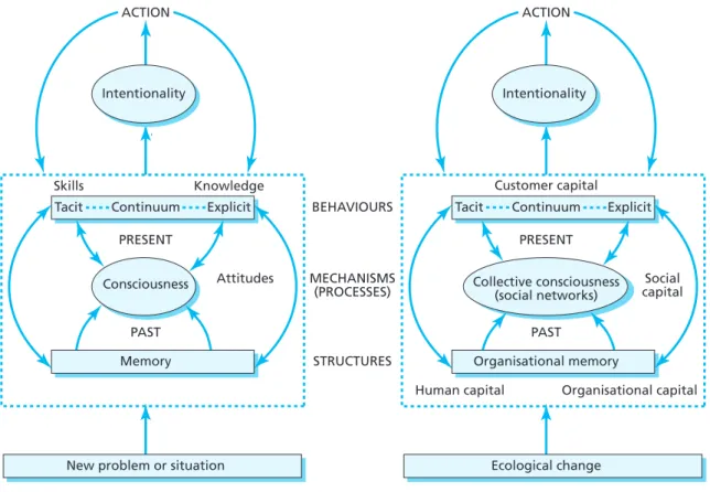 Figure 2.8  Realist conception of organisational knowledge (Jashapara 2007)