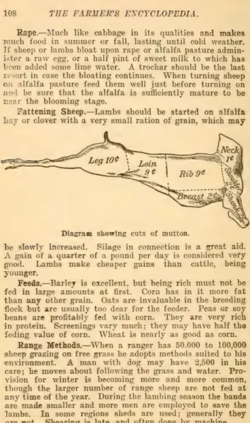 Diagram  showing  cuts  of  mutton. 