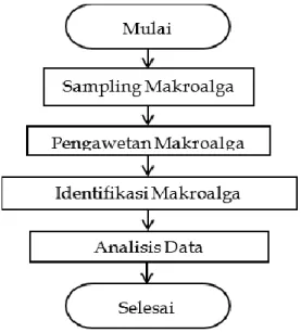 Gambar 3. Diagram Alir Penelitian  Analisis Data 
