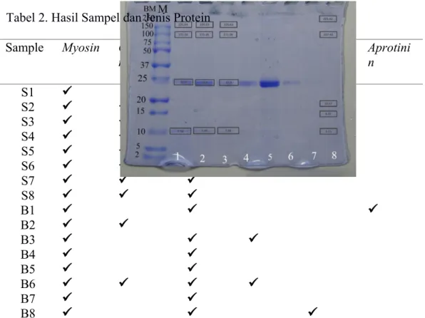 Tabel 2. Hasil Sampel dan Jenis Protein