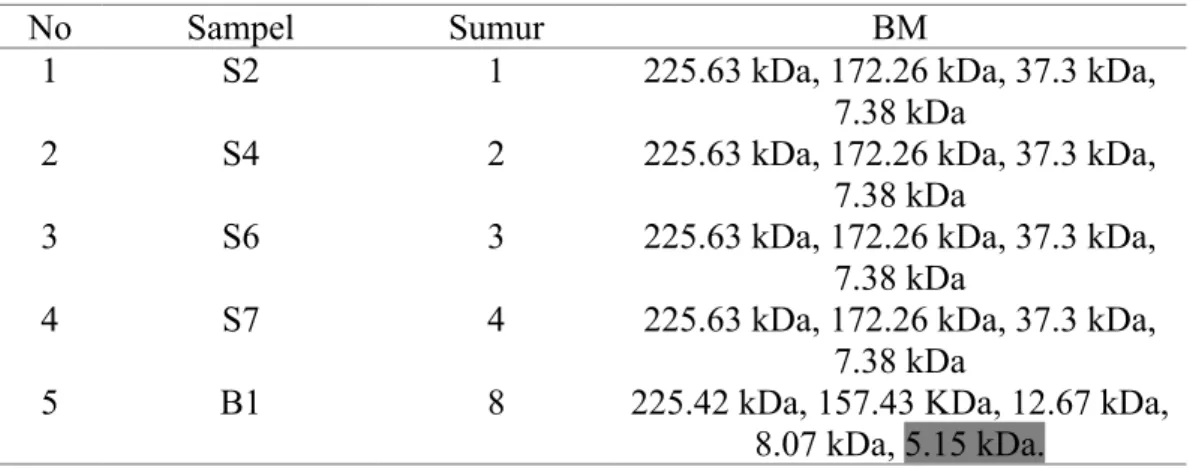 Tabel 3. Hasil sampel dan bm pada gel pertama