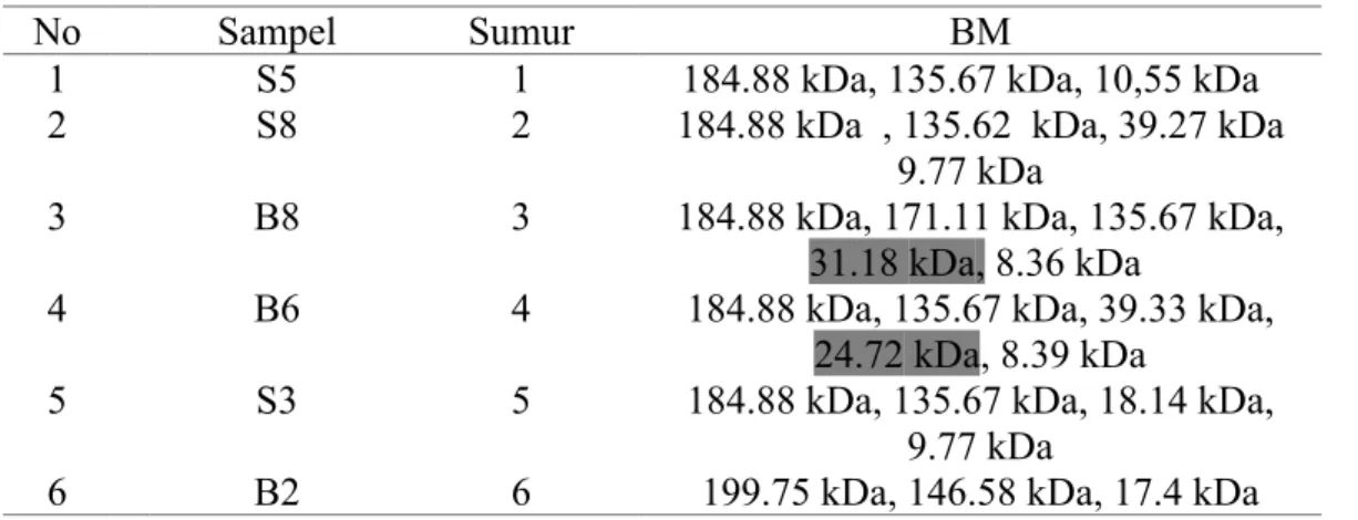 Tabel 4. Hasil sampel dan bm pada gel kedua