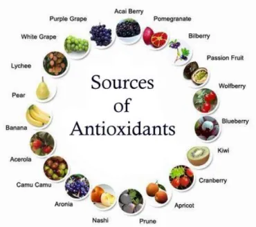 Gambar 12. Sumber antioksidan alami (www.mindpowerglobal.au) 