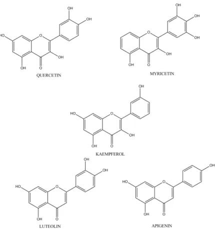 Gambar 15. Struktur substitusi flavonoid dengan aktivitas antioksidan