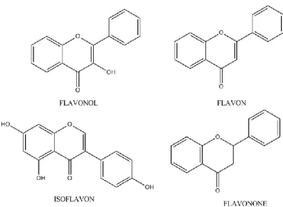 Gambar 16. Struktur kimia beberapa jenis flavonoid (Apak, et al., 2007)