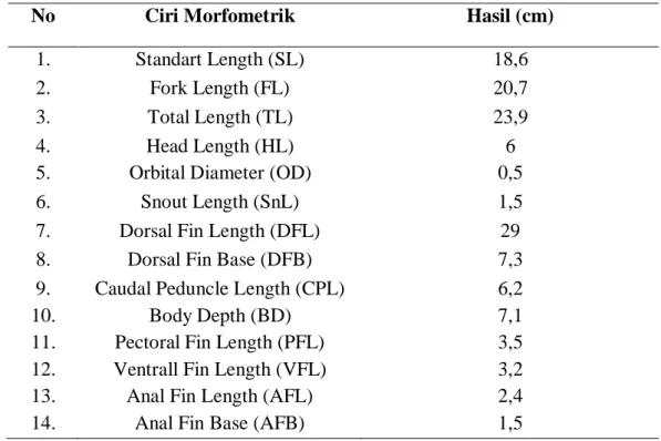 Tabel 2. Hasil Pengamatan Ciri Morfometrik Ikan Mas 