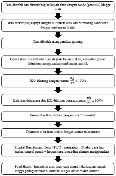 Gambar 5. Prosedur praktikum