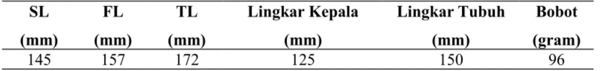 Tabel 3. Morfometrik ikan mas kelompok 16