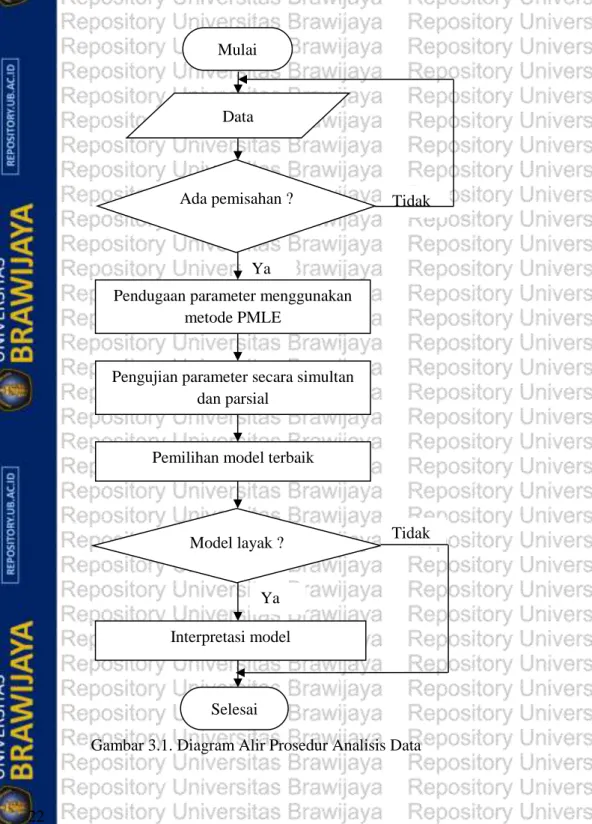 Gambar 3.1. Diagram Alir Prosedur Analisis Data Ya 