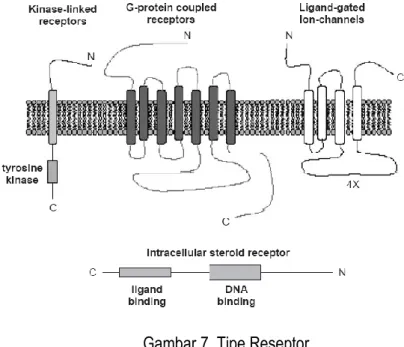 Gambar 7. Tipe Reseptor 