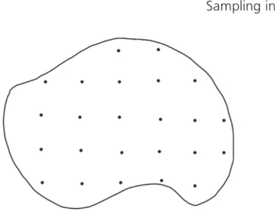 FIGURE 2.4. Systematic sampling pattern.