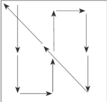 FIGURE 2.8. This suggested transect pattern covers all parts of the sample site and brings the observer back to the point of beginning