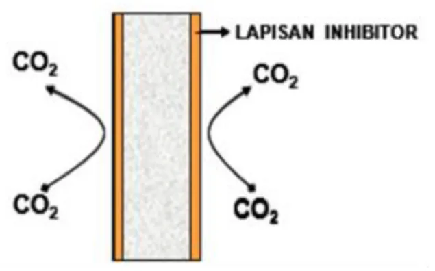 Gambar 2.  Ilustrasi serangan CO 2  pada permukaan baja dengan adanya inhibitor  Permukaan baja lunak mempunyai kutub anodik dan kadotik sehingga proses  korosi berlangsung