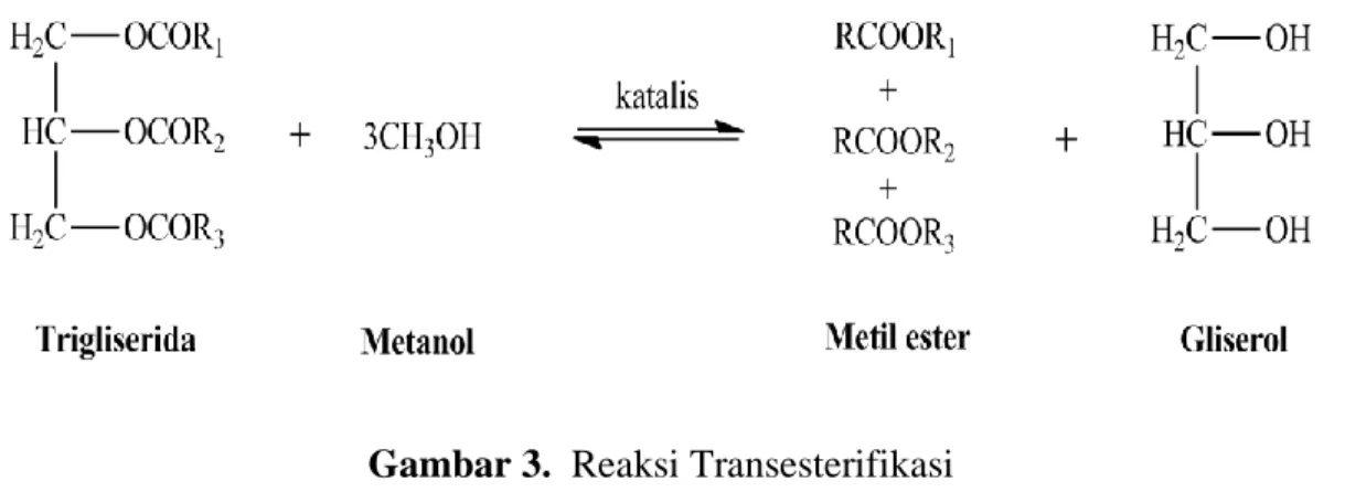 Gambar 3.  Reaksi Transesterifikasi