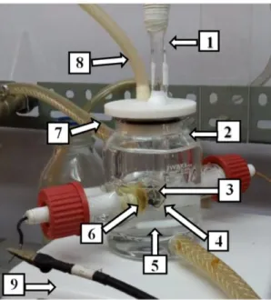Gambar 7.  Skema rangkaian alat pada metode elektrokimia: (1) termometer, (2)  chamber glass, (3) elektroda kerja (baja), (4) elektroda pembanding  (Ag/AgCl), (5) magnetic stirrer, (6) elektroda bantu (Pt), (7) water  bath, (8) sparging CO 2 , (9) hot plat