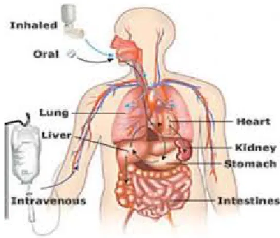 Gambar 2. 5 Mekanisme Pemberian Obat