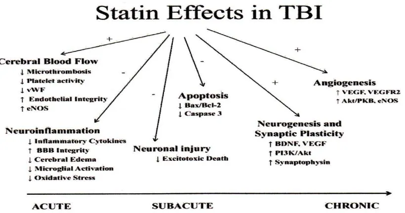 Tabel 5. Efek Neuroprotektive Statin (Cucchiara  et al , 2001; Indharty.S, 2012) 