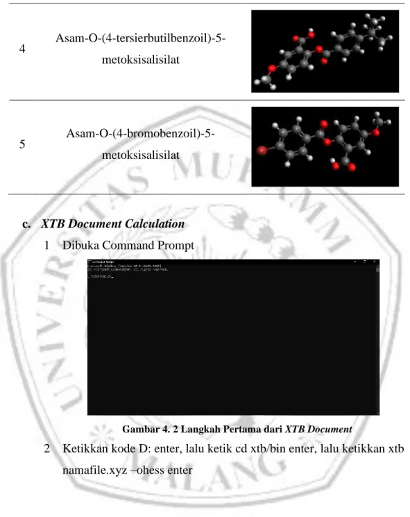 Gambar 4. 2 Langkah Pertama dari XTB Document